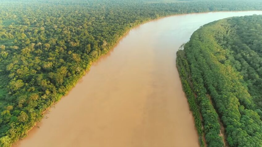 AMAZON RAINFOREST drone