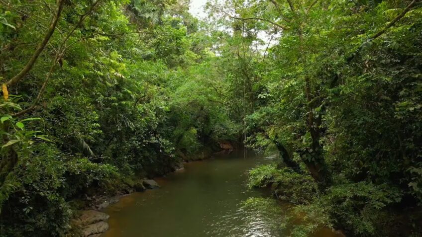 River Amazon Basin