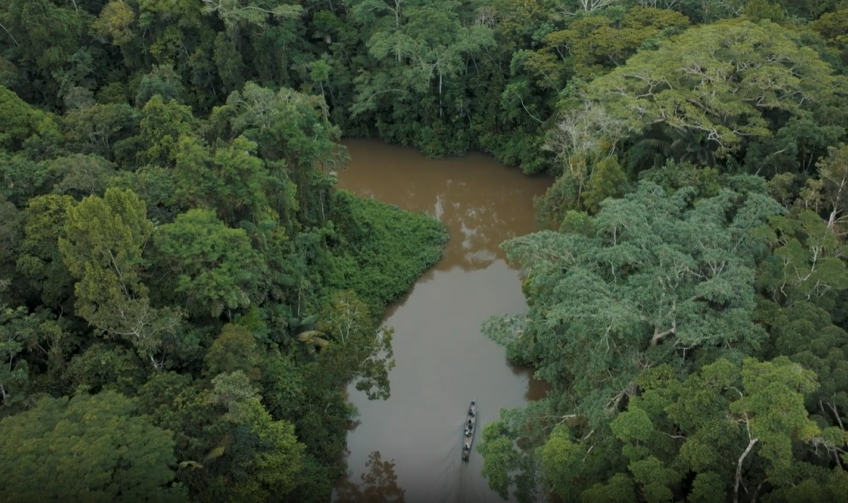 amazon  river
